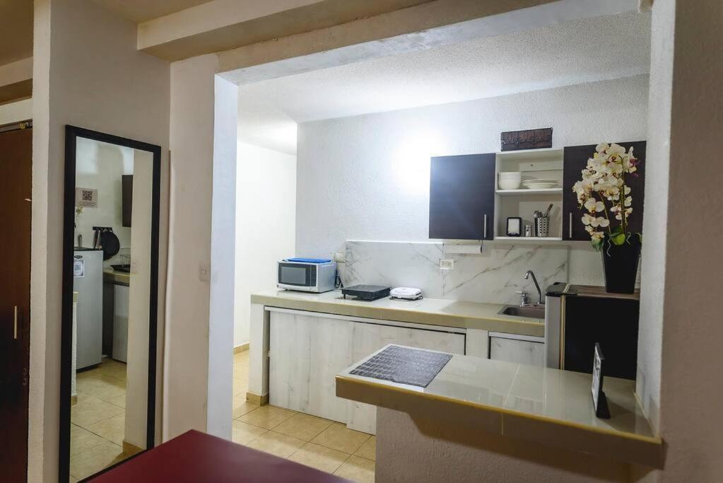 Depab Privado, Centrico,Wifi 80 Mb ,Aire Acondicionado ,Cocina, Cochera Techada, Сиудад Валес Екстериор снимка
